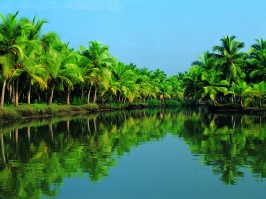 Munnar Backwater